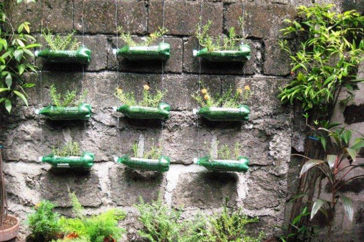 Зелена стіна - Вироби із пластикових пляшок своїми руками