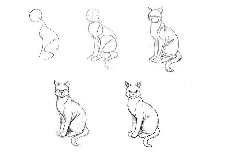 Як намалювати кота, що сидить