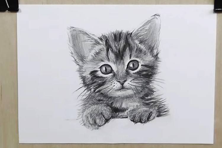 Як намалювати кішку олівцем