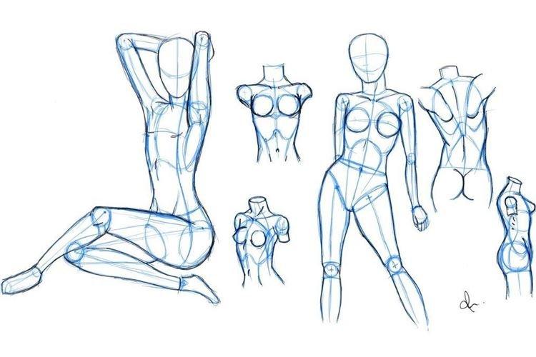 Як намалювати тіло людини