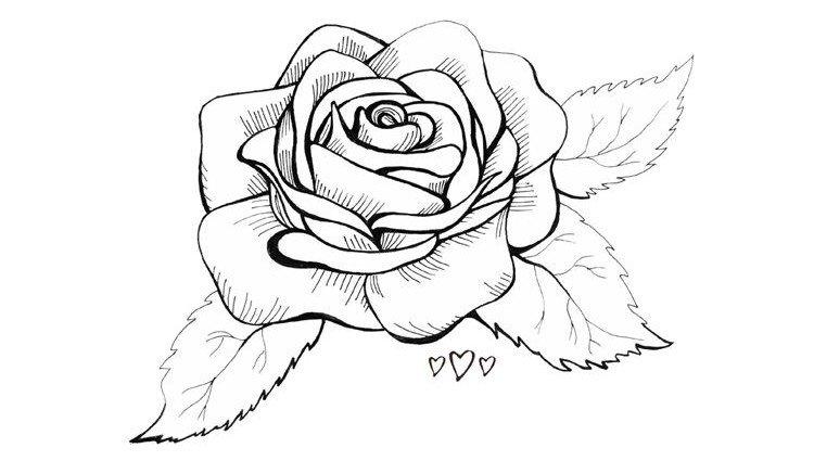 Як намалювати троянду за пелюстками
