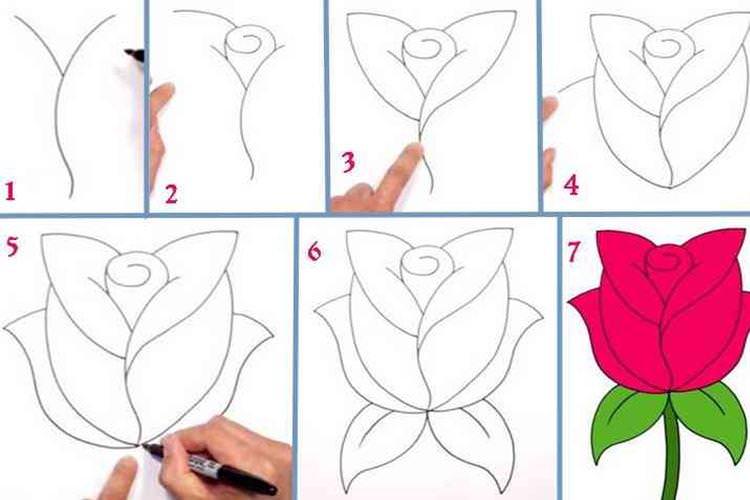 Як намалювати троянду для маленьких дітей