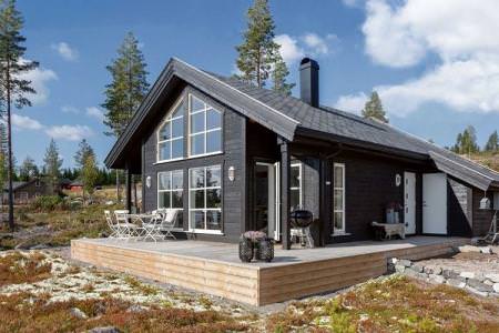 Будинок у скандинавському стилі: гарні проекти (90+ фото)