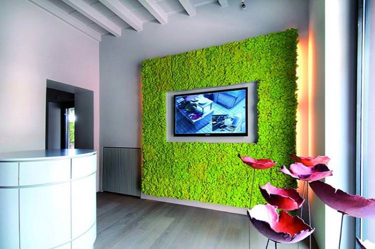 Фітостена - Дизайн стіни з телевізором